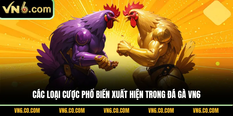 Các loại cược phổ biến xuất hiện trong đá gà VN6