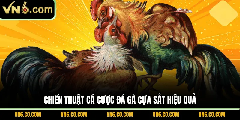 Chiến thuật cá cược đá gà cựa sắt hiệu quả