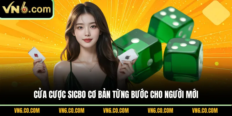 Cửa cược Sicbo cơ bản từng bước cho người mới