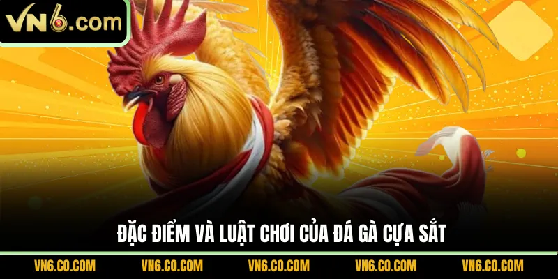 Đặc điểm và luật chơi của đá gà cựa sắt