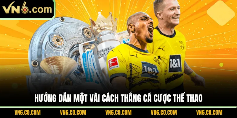 Hướng dẫn một vài cách thắng cá cược thể thao