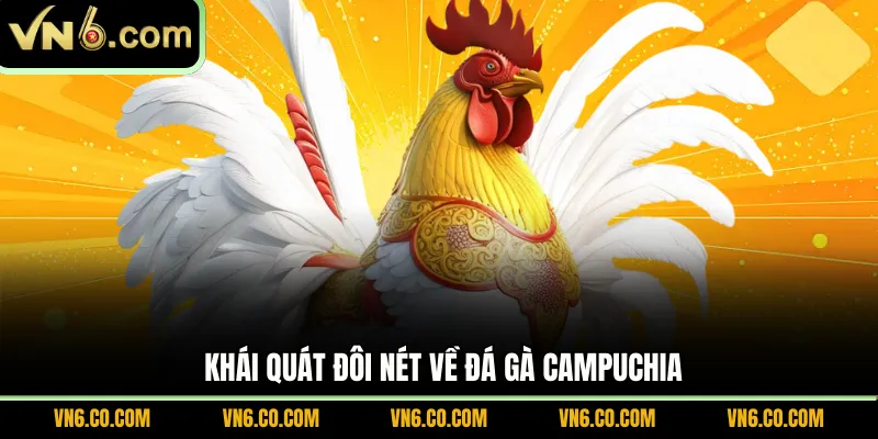 Khái quát đôi nét về đá gà Campuchia