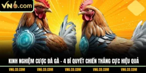Kinh nghiệm cược đá gà