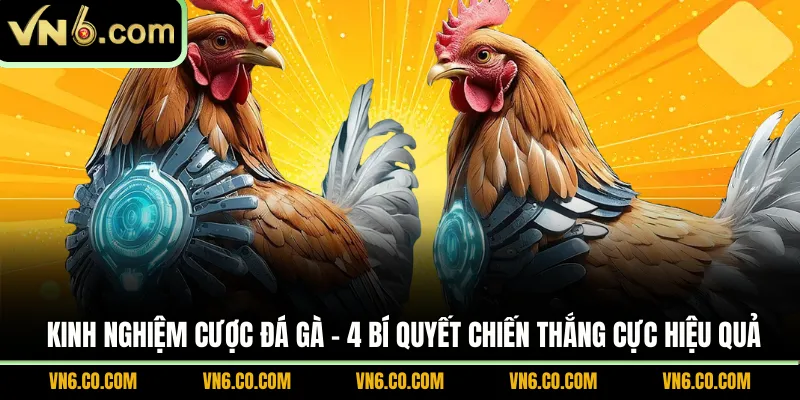 Kinh nghiệm cược đá gà