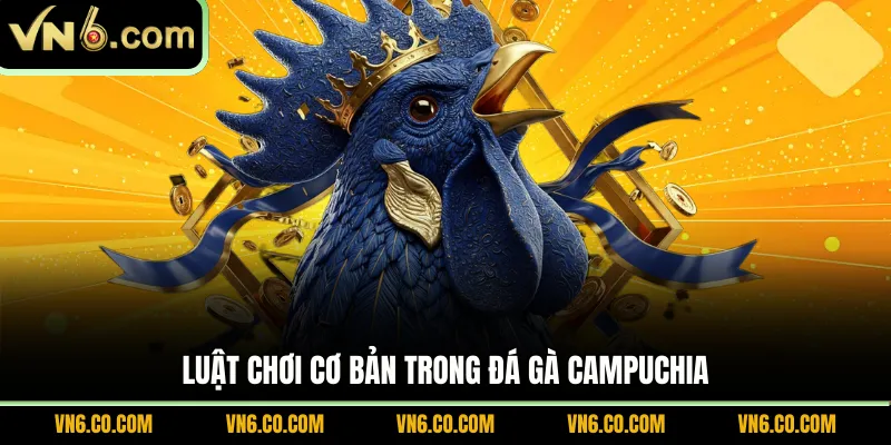 Luật chơi cơ bản trong đá gà Campuchia