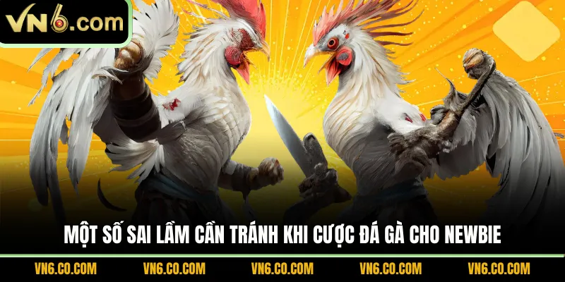 Một số sai lầm cần tránh khi cược đá gà cho newbie