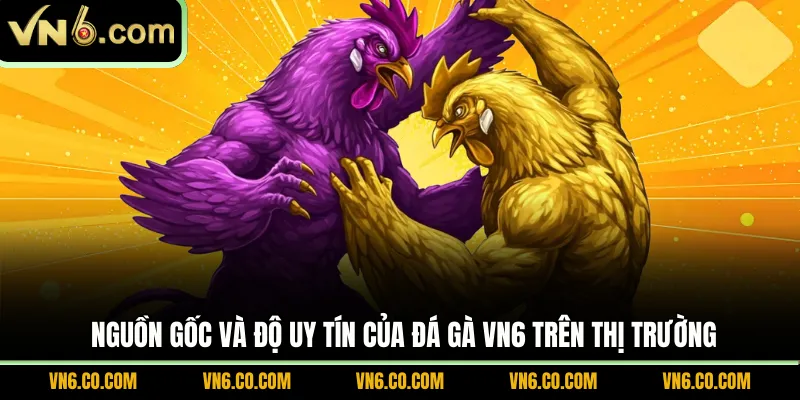 Nguồn gốc và độ uy tín của đá gà VN6 trên thị trường
