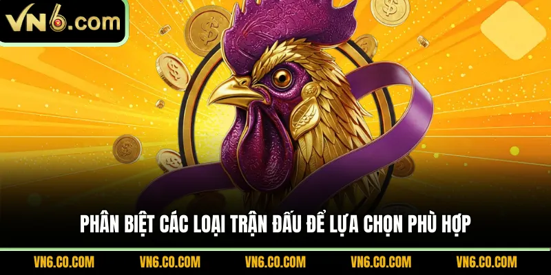Phân biệt các loại trận đấu để lựa chọn phù hợp