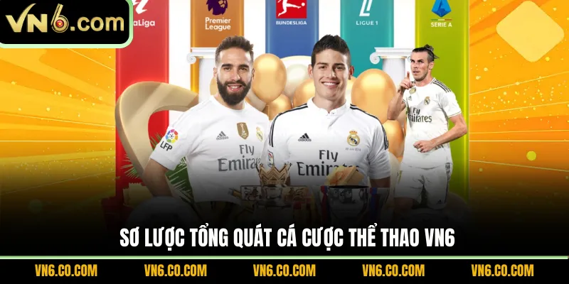Sơ lược tổng quát cá cược thể thao VN6