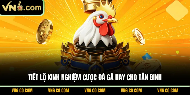 Tiết lộ kinh nghiệm cược đá gà hay cho tân binh