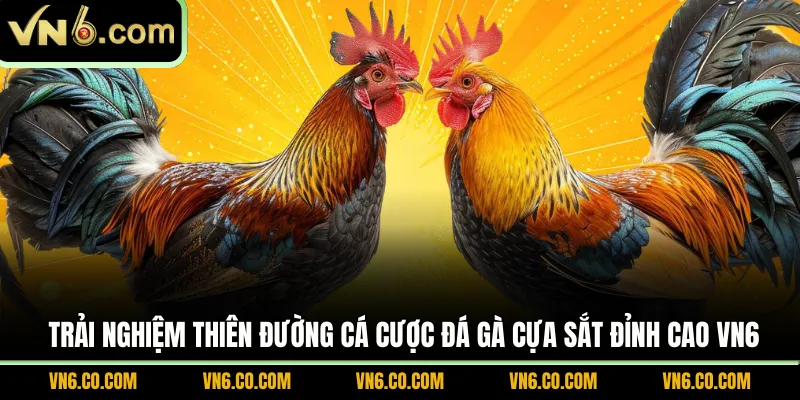 Đá gà cựa sắt